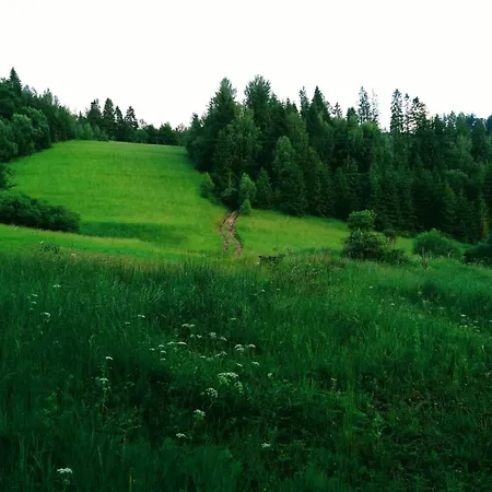 Dom Na Wylacznosc, Gory, Rysianka, Beskidy, W Gorach Дом отдыха Zlatna