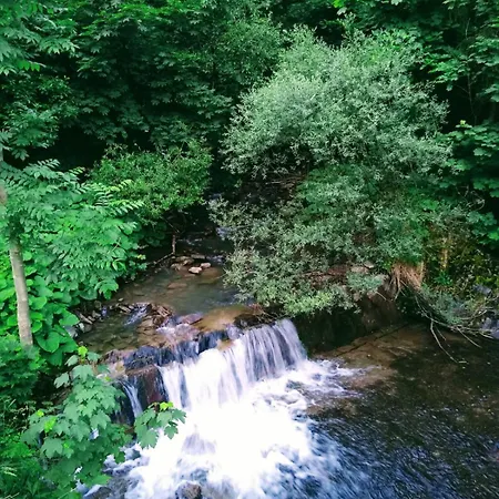 Semesterbostad Dom Na Wylacznosc, Gory, Rysianka, Beskidy, W Gorach Zlatna